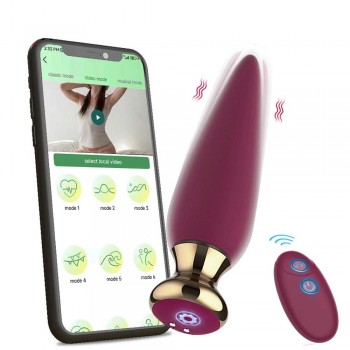 Vibrating Butt Plug With Remote Control