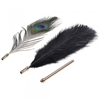 LOCKINK Sevanda Dual Natural Peacock Flirting Feather Tickler Wand