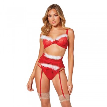 Holiday Sparkle Mesh Bra w/Marabou Trim, Garter Belt & Panty Red