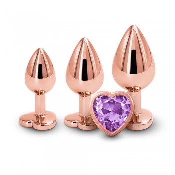 Venusfun Metal Butt Plug Set 3 Sizes Purple Luxury Jewelry Anal Trainers