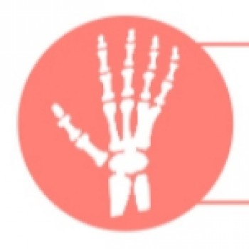 Posable Fingers with Internal Bones Finger Skeleton Hand Posing Movable Feature For Custom Sex Doll