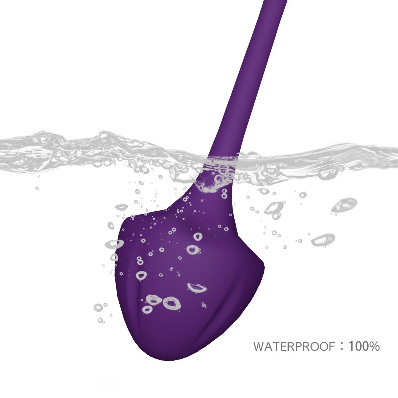 Useeker K03 Virgo Kegel Exercise Weights