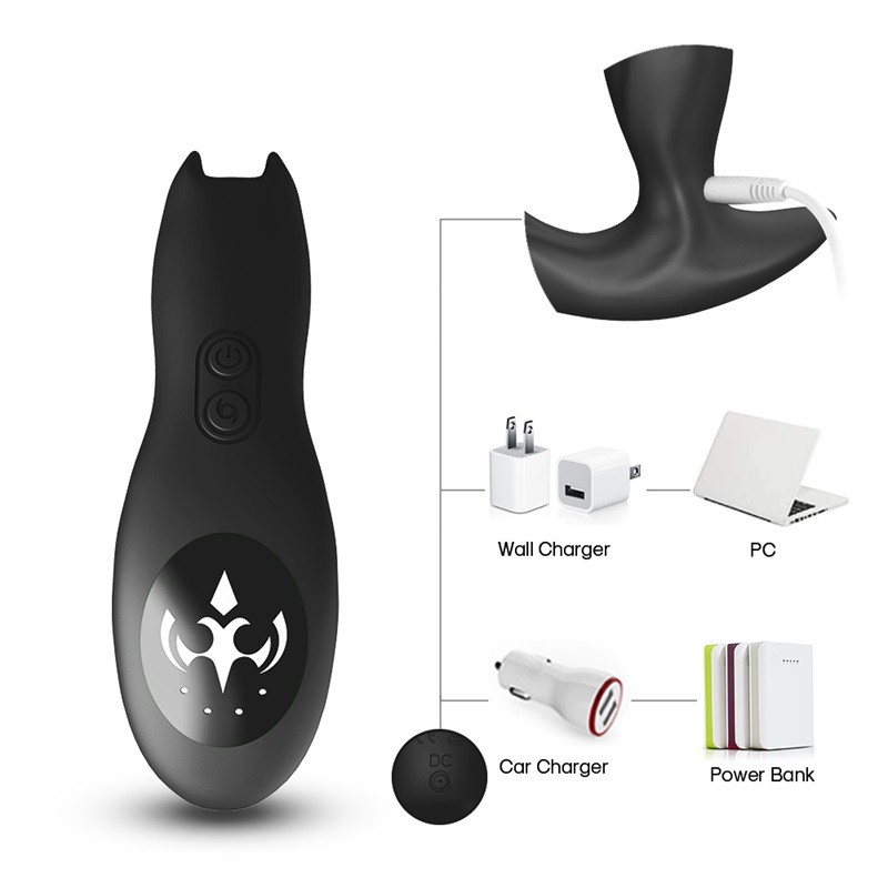 useeker p01 bat king prostate massager charge