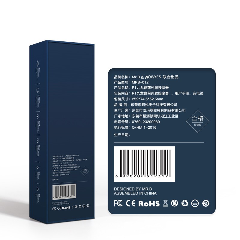 wowyes r1 prostate massager box back