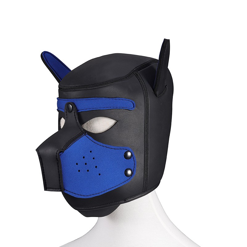 RYSC-142 Dog Headgear-blue