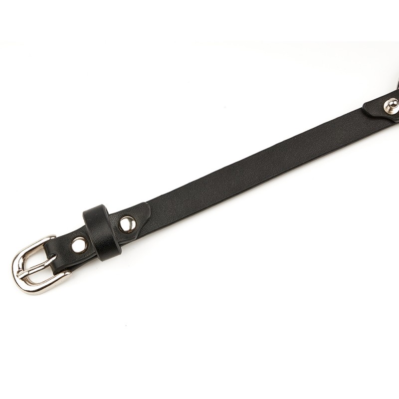 RYSC-251-ZT Sex Metal Heart-Shaped Leather Collar