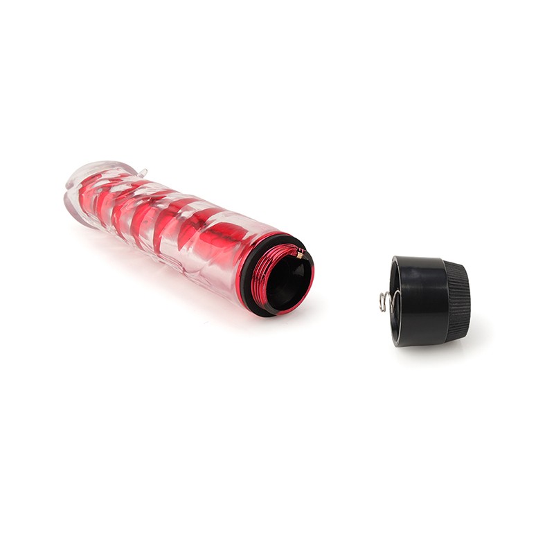 rysc-173-24 sm sex toy 24 piece set Red Dildo Vibrator
