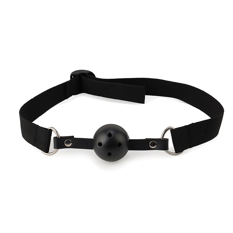 rysc-173-24 sm sex toy 24 piece set Ball Gag