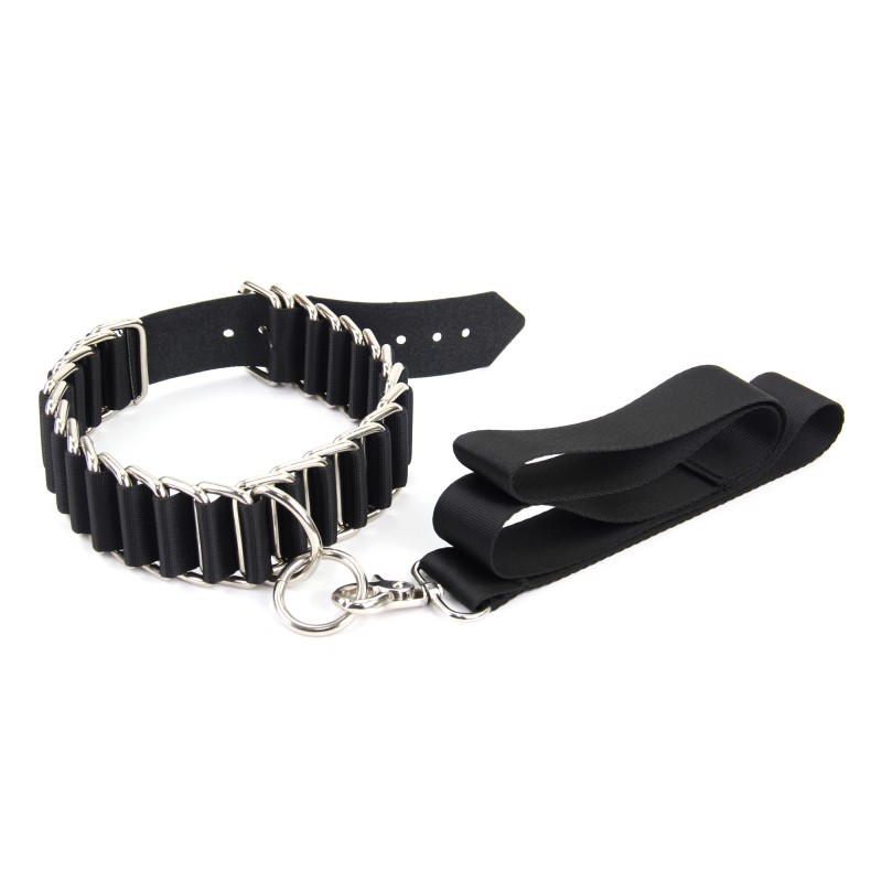 Roomfun Metal Chain Dog Slave Collar BDSM PD-045