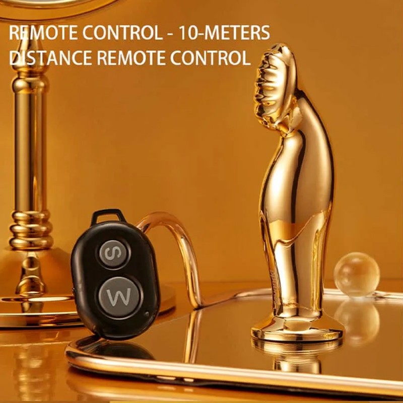 LOCKINK Sevanda Eros Vibrating Metal Prostate Massager with Remote Control2