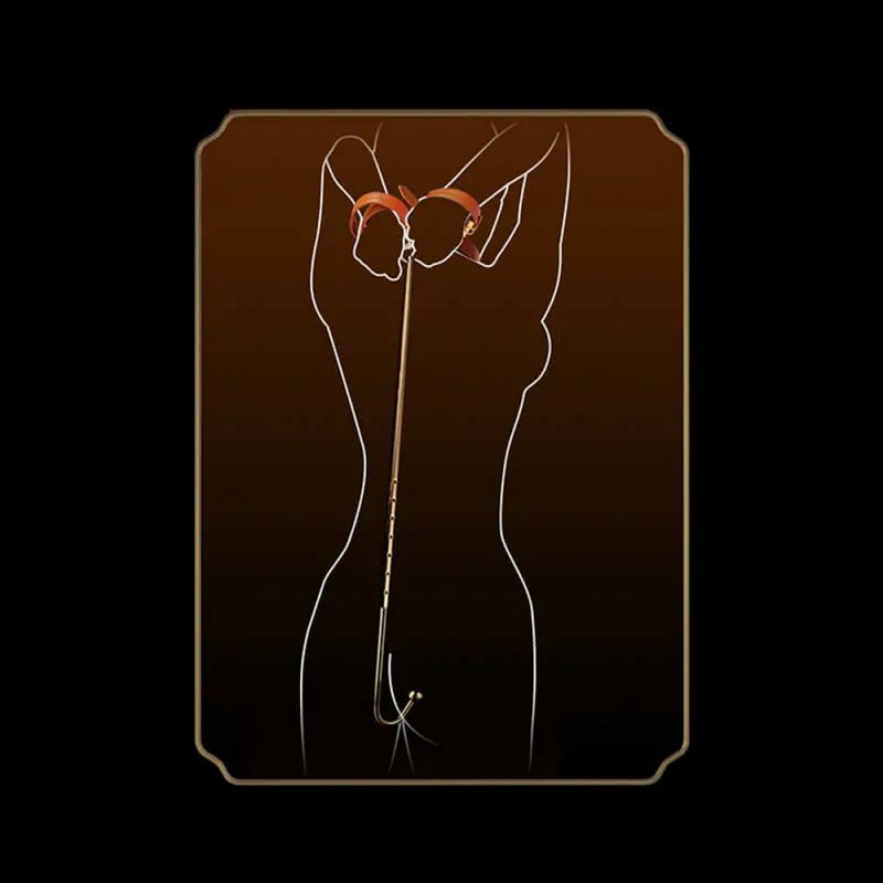 LOCKINK Adjustable Gold Anal Hook with Collar Connector5