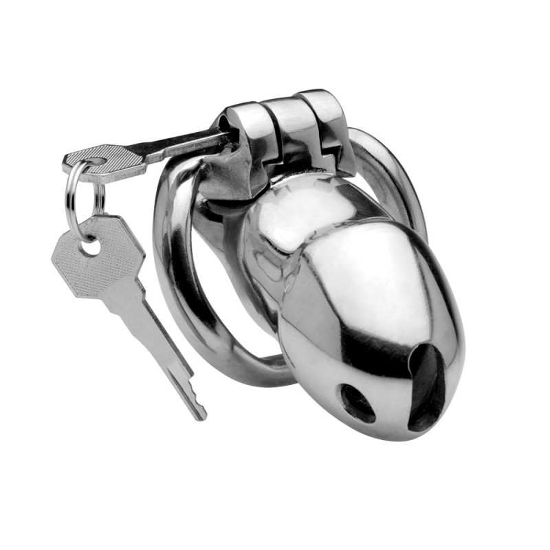 Master Series Rikers 24-7 Stainless Steel Locking Chastity Cage 1