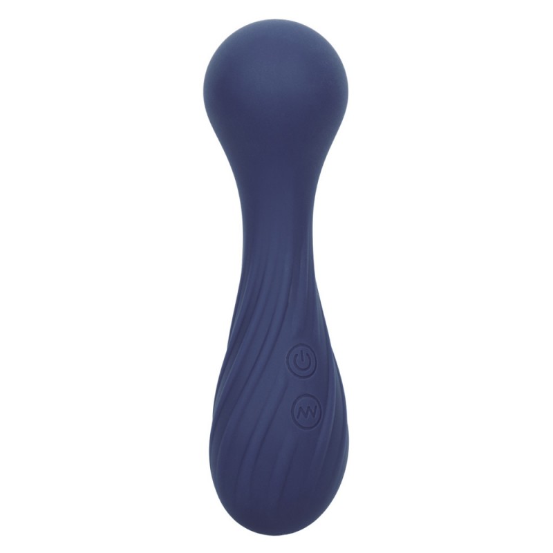 CalExotics Charisma Temptation Dual Ended Vibrator Massager