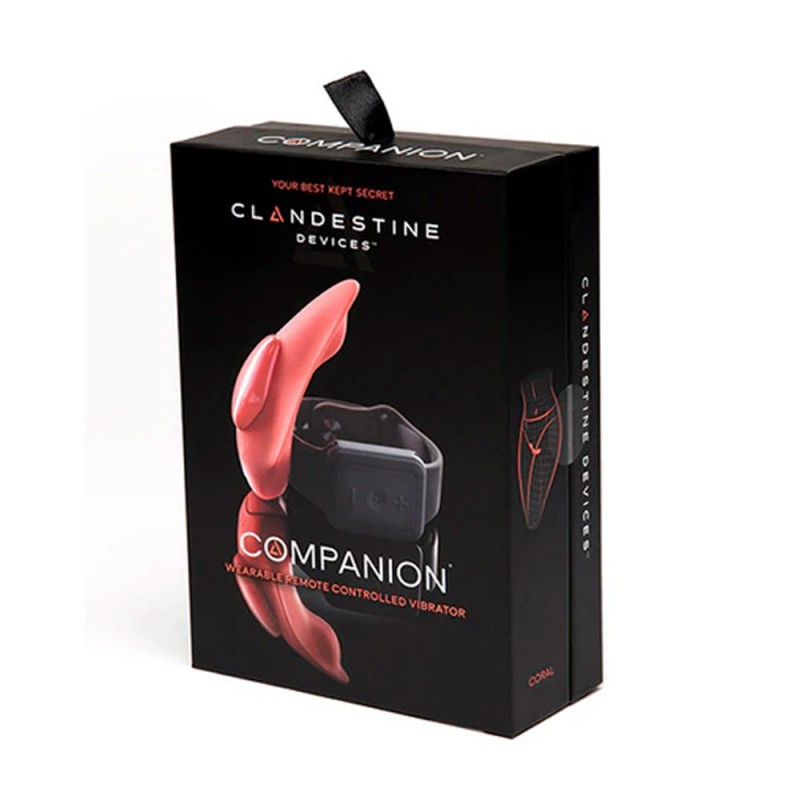 Panty Wearable Vibrator with Watch Remote Control2