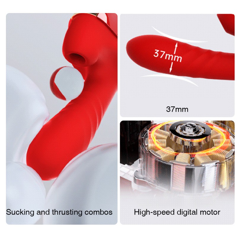 Leten Thrusting & Sucking Sex Machine with Suction Cup & Remote Control5