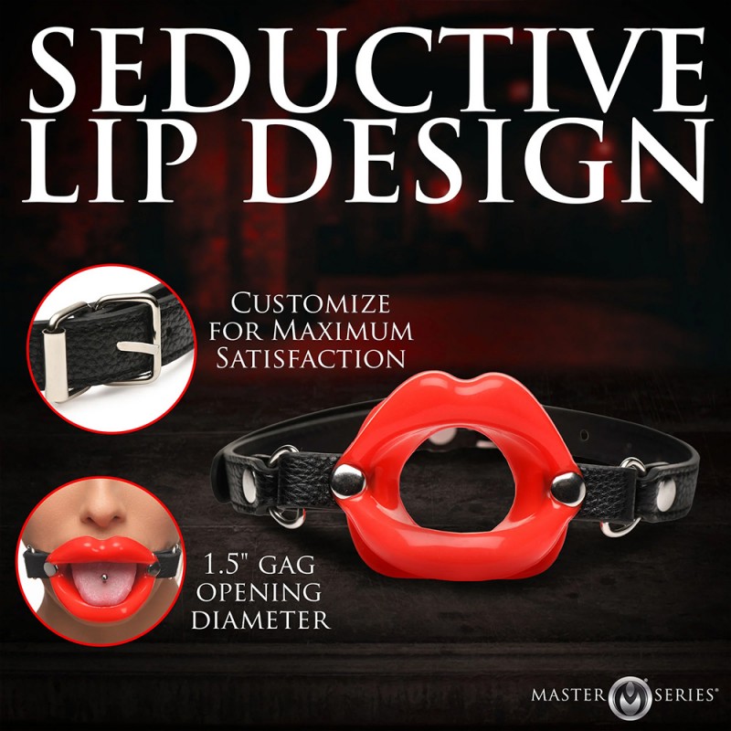 Juicy Lips Silicone Open Mouth Gag Bondage kit