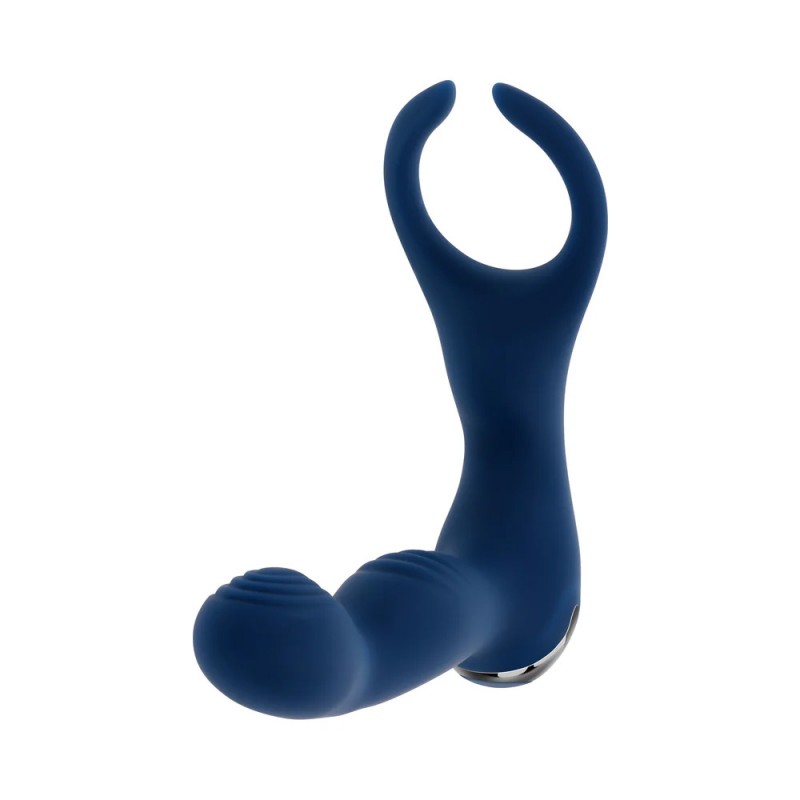 Zero Tolerance By All Means Vibrating Prostate Vibrator With RemoteZero Tolerance By All Means Vibrating Prostate Vibrator With 