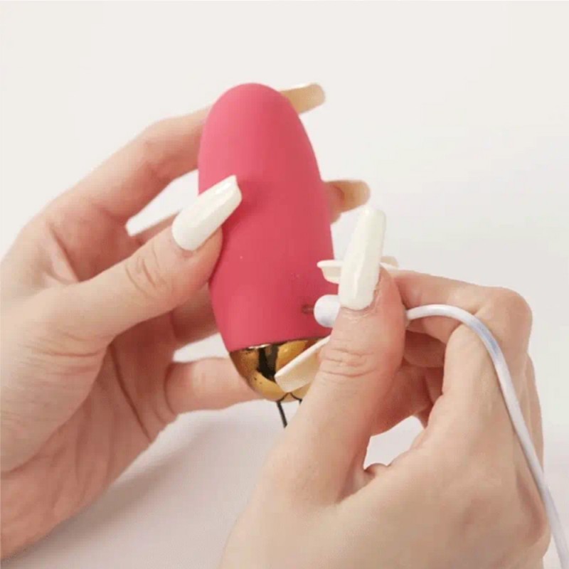 SVAKOM ELVA Remote-controlled Egg Bullet Vibrator