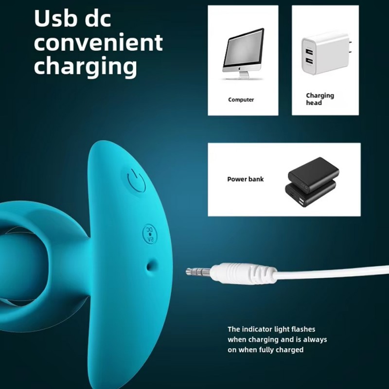 Pagoda Anal Beaded Vibrating Butt Plug with Remote Control2