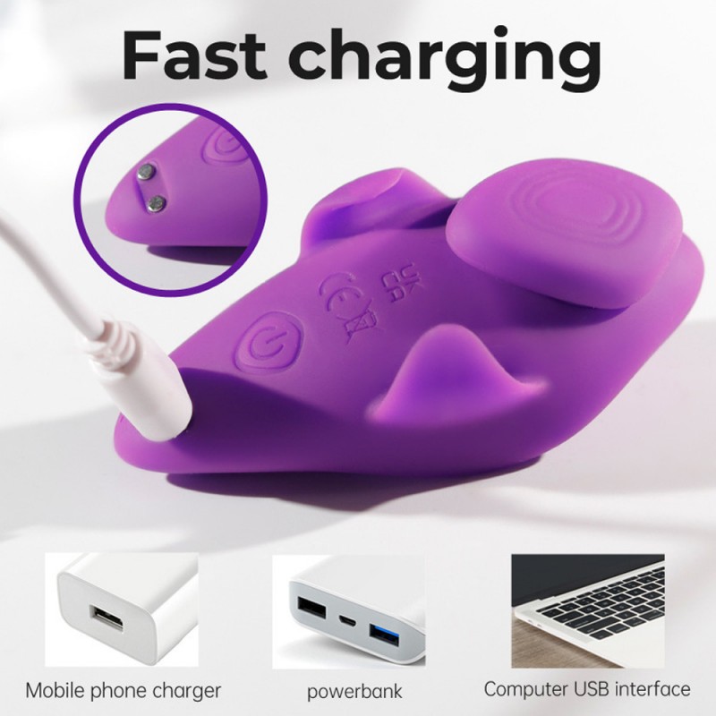 Swallow Wearable Vibrator Magnetic Panty Women Masturbator