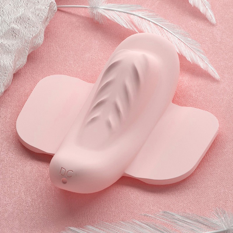 Roomfun Magnetic Wearable Panty Vibrator with Panty & Remote Control2