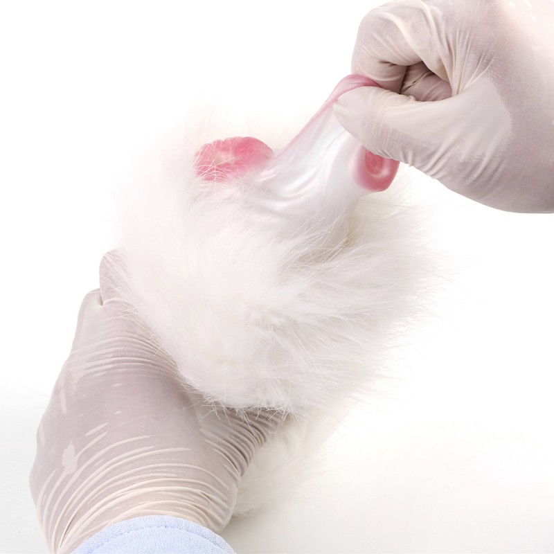 GEEBA White Horse Plush Pocket Pussy Double Channel Male Masturbator