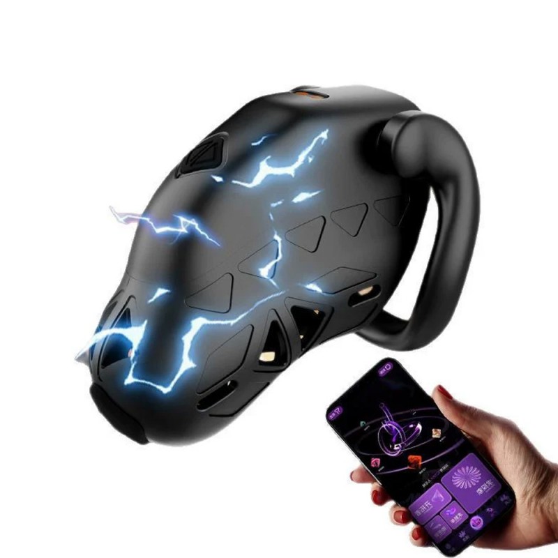 LOCKINK smart chastity cage with app control display