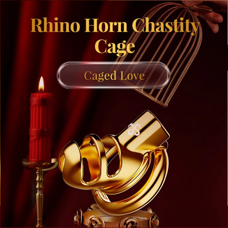 Chastity Cage for Male2