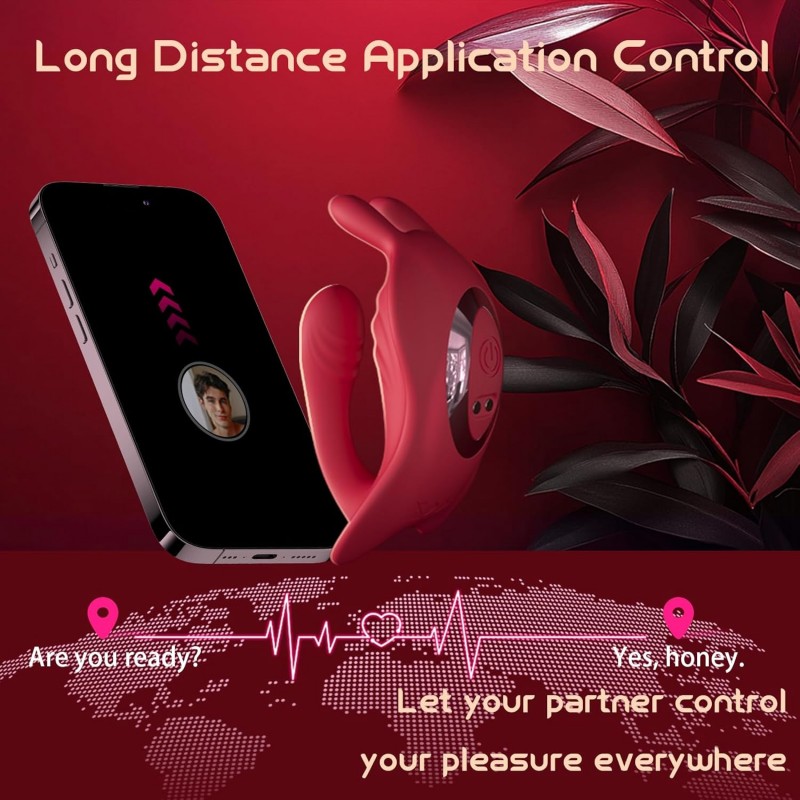 remote control app interface for adult toys