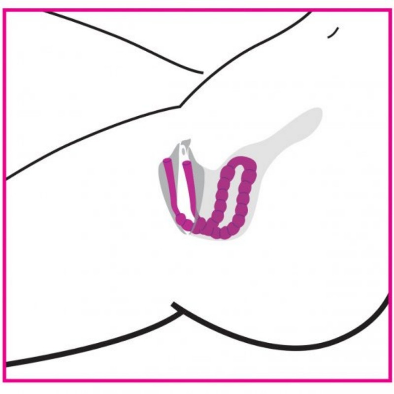 xr brands petal pusher silicone labia spreader vagina expander easy clean
