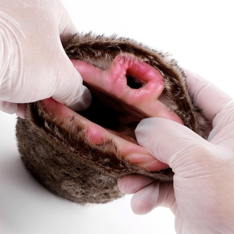 geeba fantasy stroker lion themed animal pussy new type