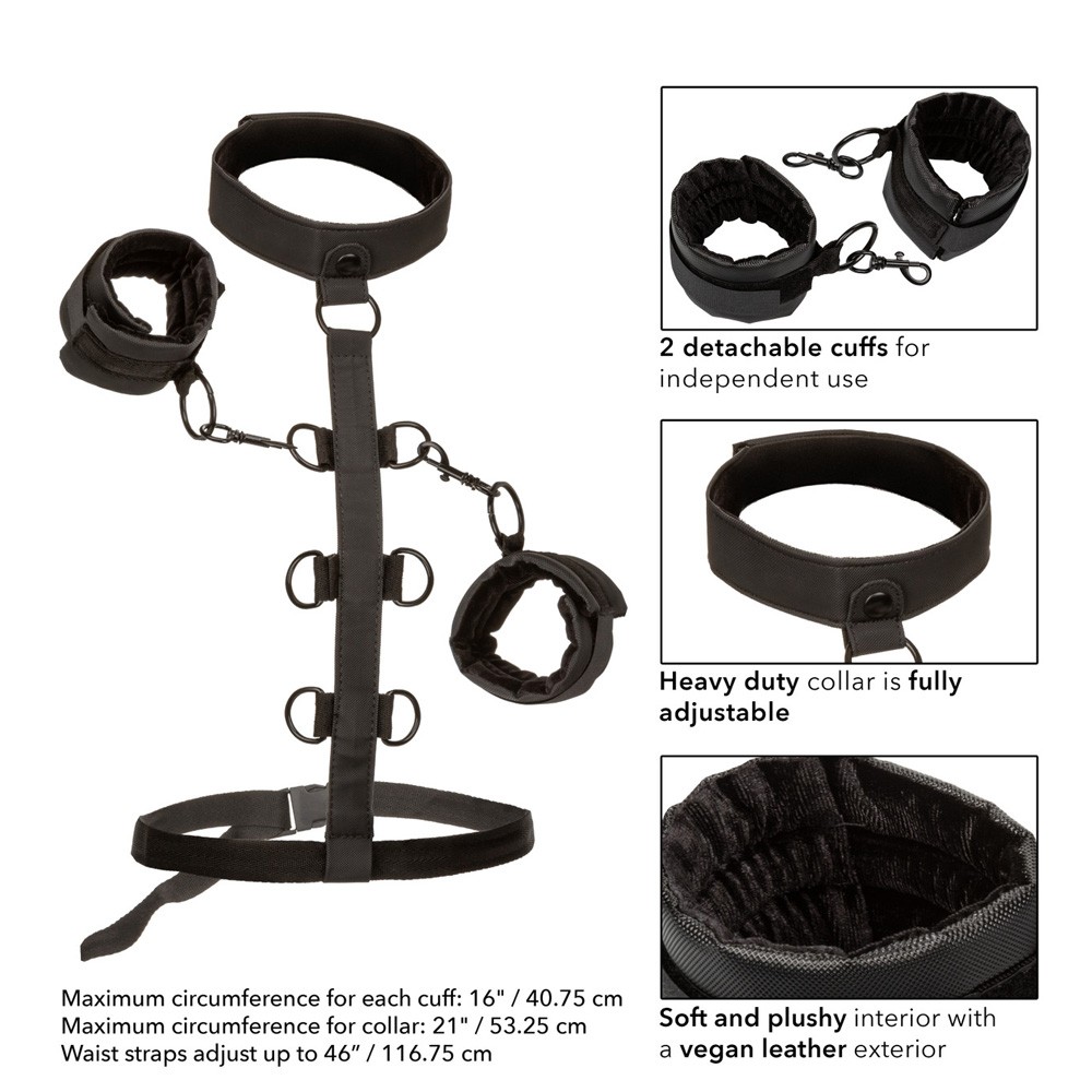 Calexotics Collar Body Restraint