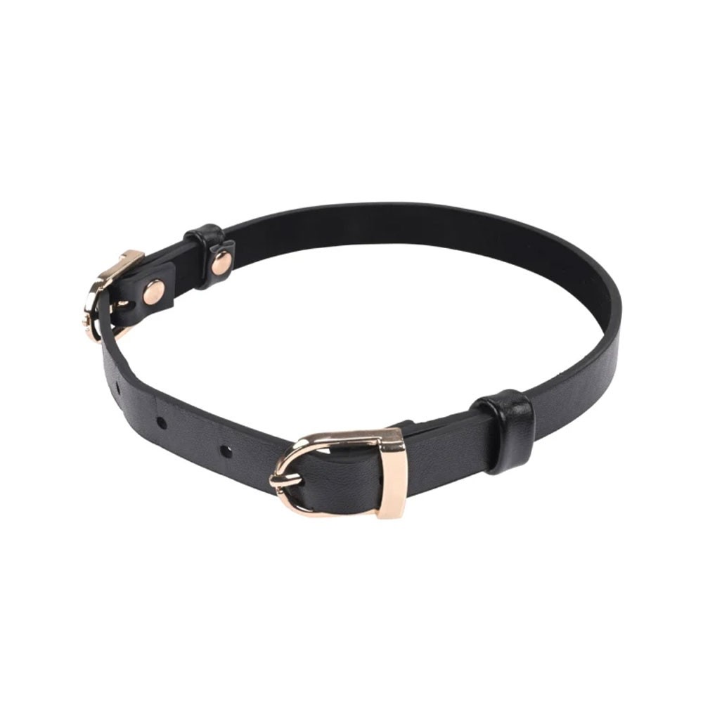 Sportsheets Double Buckle Day Collar & Leash