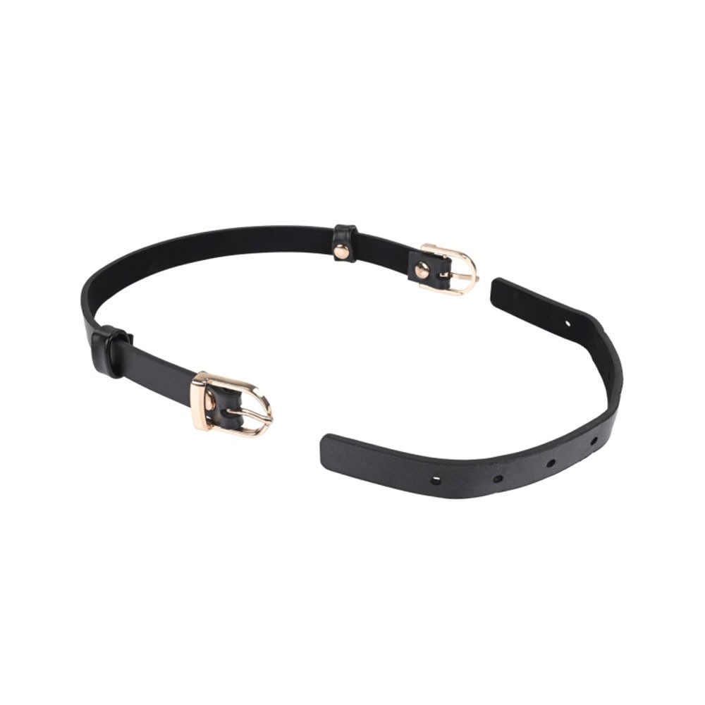 Sportsheets Double Buckle Day Collar & Leash