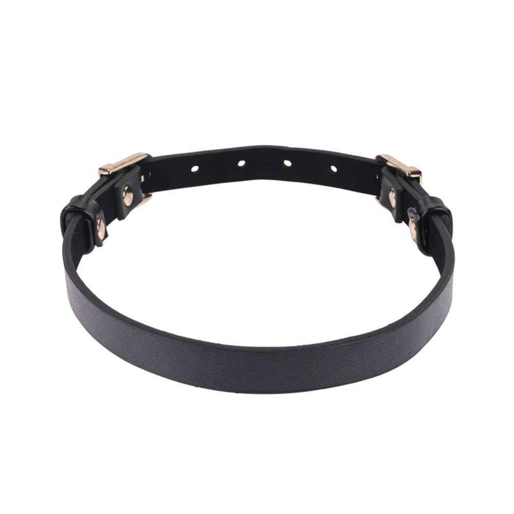 Sportsheets Double Buckle Day Collar & Leash