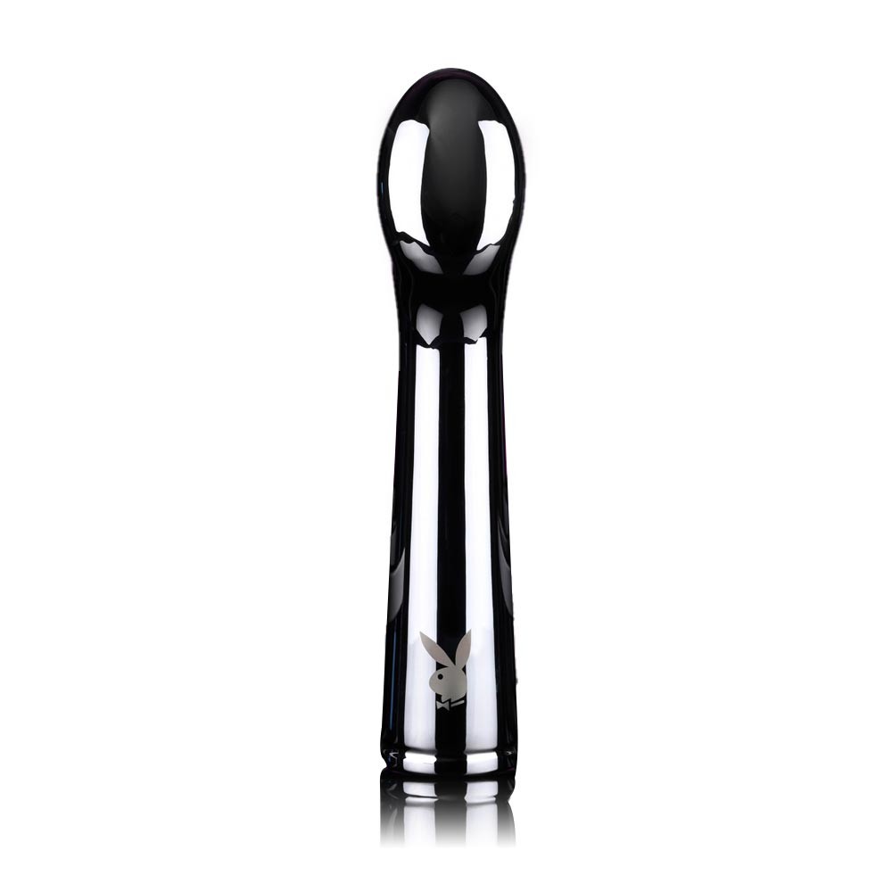 Evolved Novelties Swoon Metal Vaginal Anal Vibrator