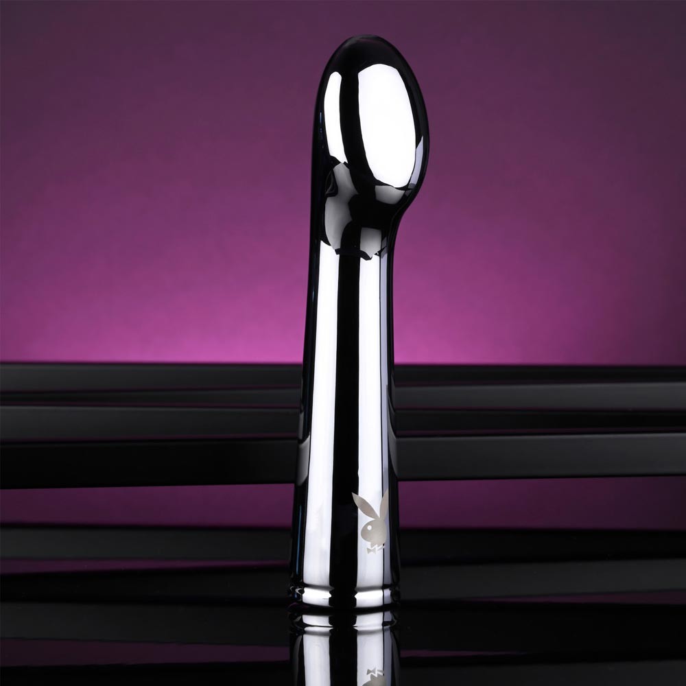 Evolved Novelties Swoon Metal Vaginal Anal Vibrator