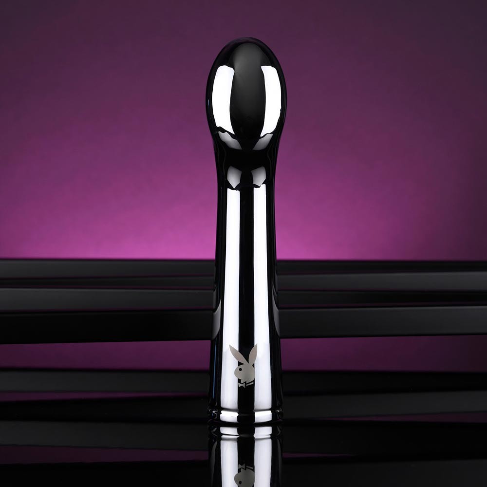 Evolved Novelties Swoon Metal Vaginal Anal Vibrator