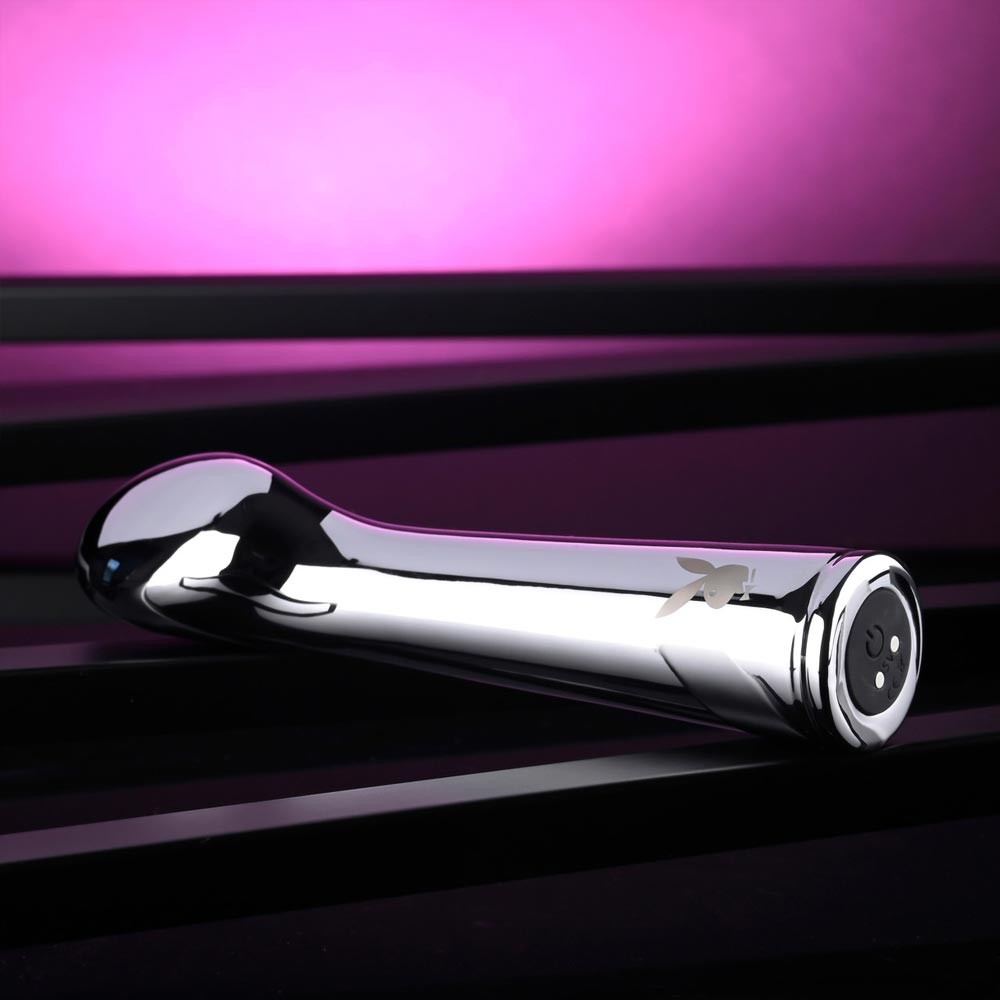 Evolved Novelties Swoon Metal Vaginal Anal Vibrator