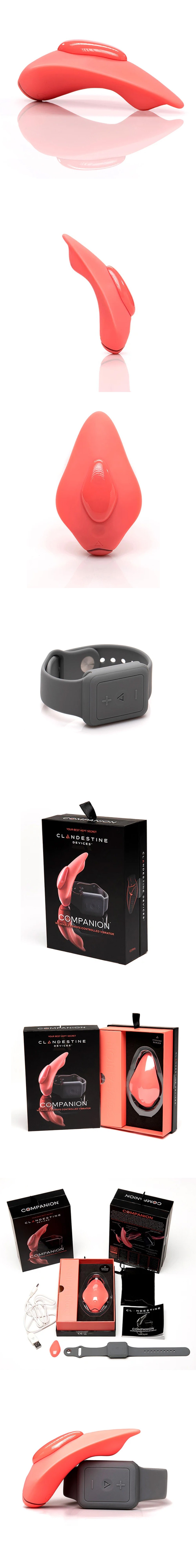 Panty Wearable Vibrator with Watch Remote Control