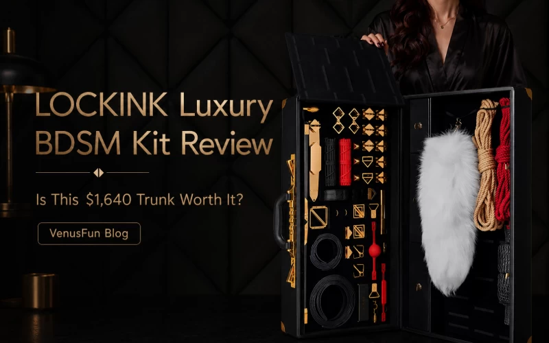LOCKINK Luxury BDSM Kit Review: Is This $1,640 Trunk Worth It?