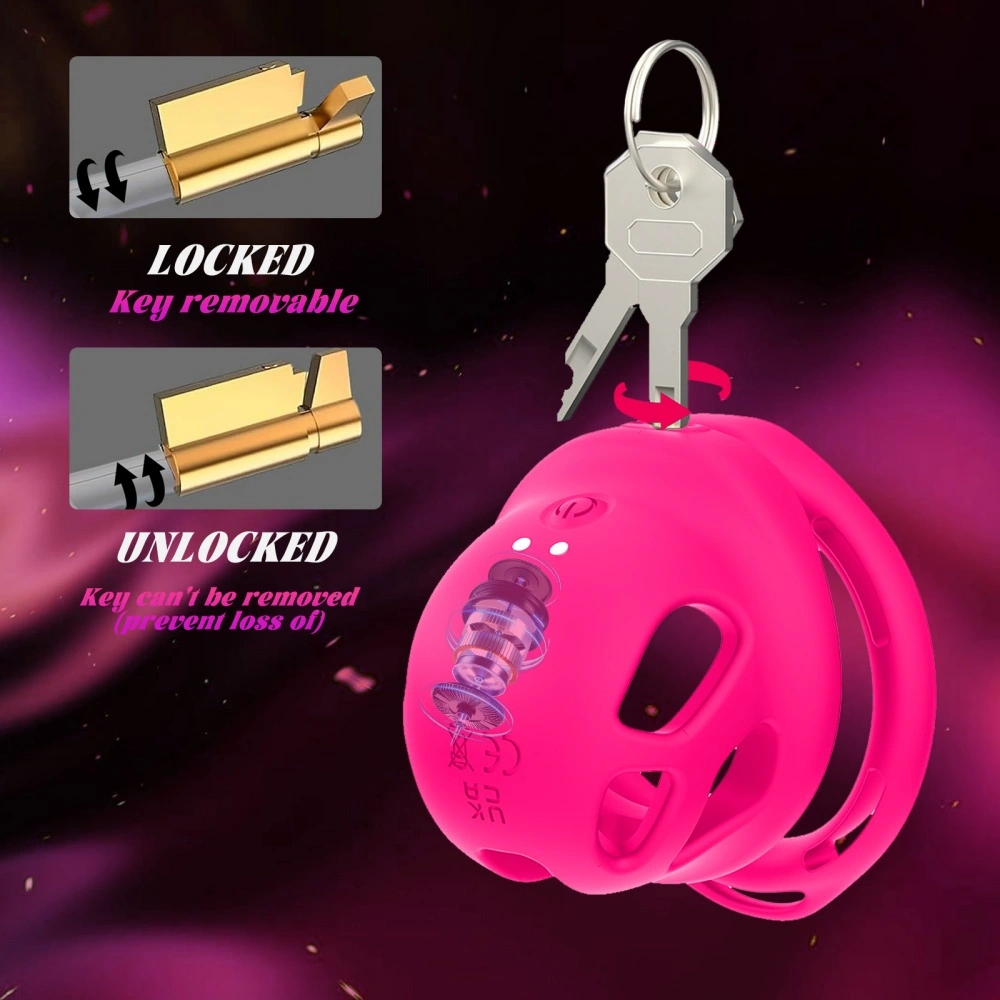 penis lock chastity device set