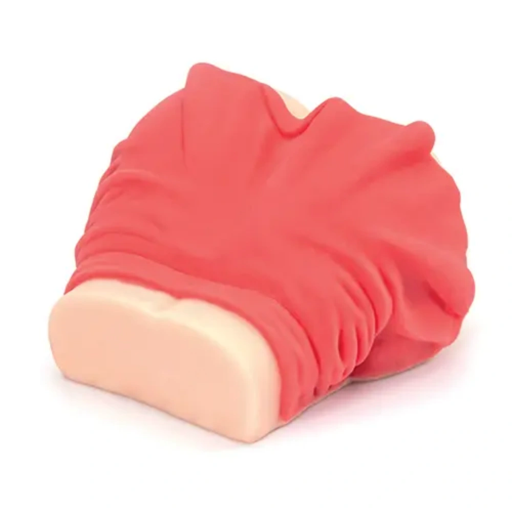 pornstar signature series masturbator