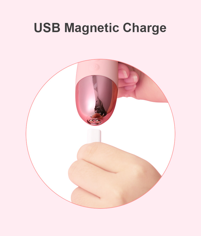 V6 Swan Rotating Vibrator charging method
