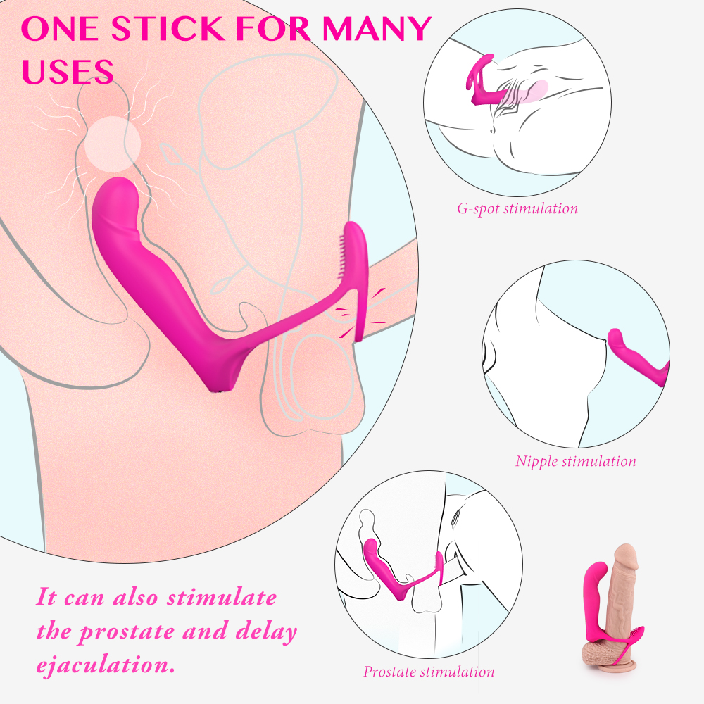 SHD-S266-2 Vibrator one stick for many uses