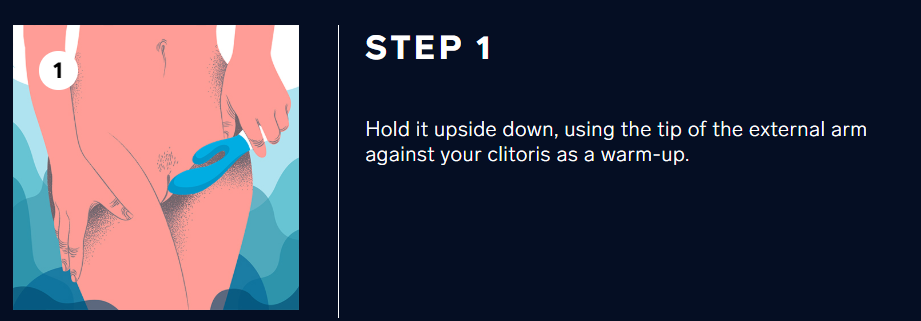 lelo ina wave rabbit vibrator using step 1