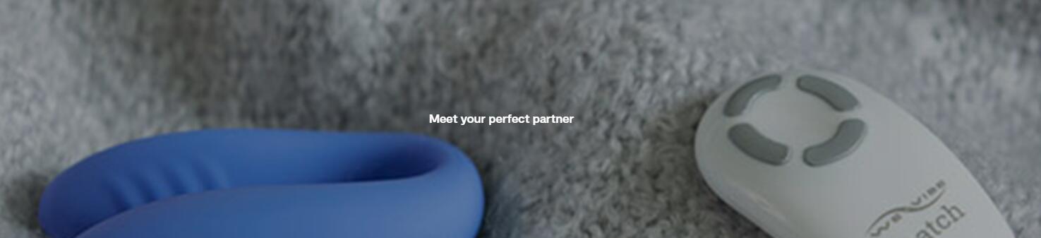 we-vibe couples vibrator