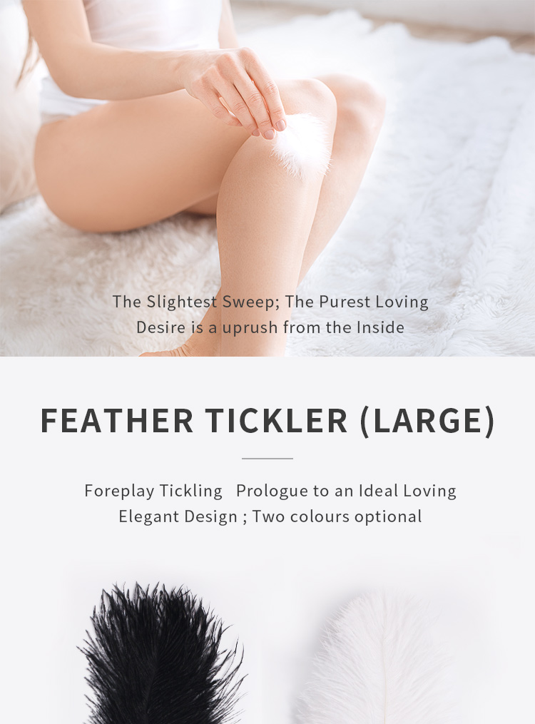 Roomfun BDSM Camel Feathers Foreplay Tickler QS-019 