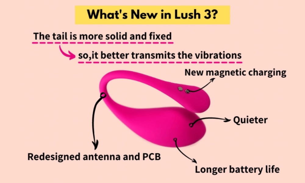 Lovense Lush 3 vs. Lush 2: Which One Reigns Supreme?