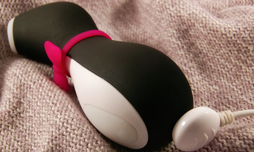 Satisfyer Penguin Pro Review: The Cutest and Powerful Companion